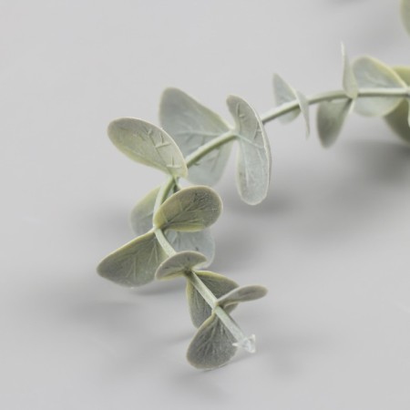 Decor for creativity "Vetochka eucalyptus" 28 cm-2