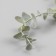 Decor for creativity "Vetochka eucalyptus" 28 cm