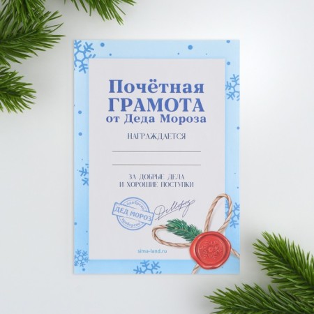 Gift New Year's set of 12 items "New Year's Parcel"-42
