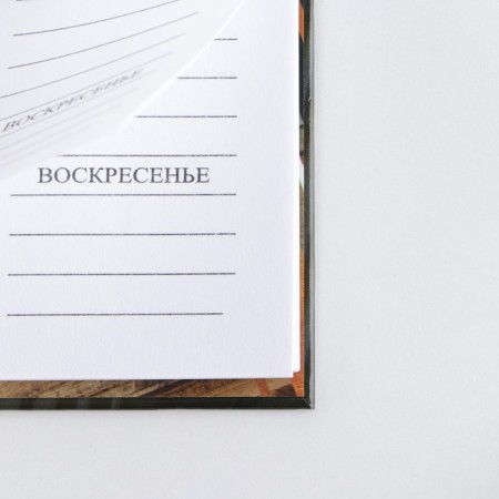 Planing on spirals "The strength and grace of the Russian spirit", 7BC, 50 sheets-4