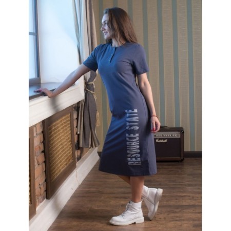 Women's dress Resource stat, size 54, gray color-1