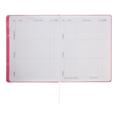 Universal diary for the 1-11 grade Forget Trubles, solid cover, artificial leather, silkography, lies, 80 g/m2-7