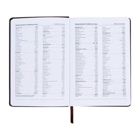 Lotted diary, A5, 140l, Cage, region, style, dark gray-5