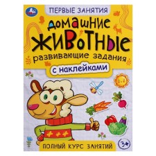 The first knowledge 