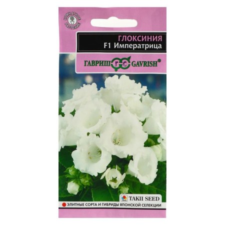 Gloxinia flowers "Empress", 4 pcs.