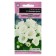 Gloxinia flowers "Empress", 4 pcs.