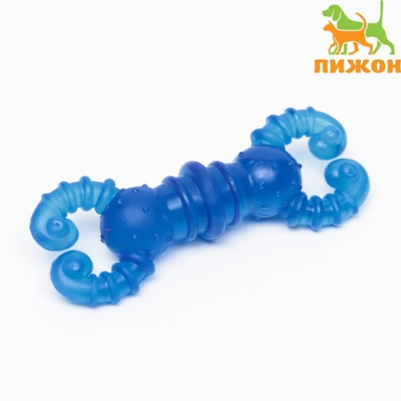 Chewing toy "crab", transparent, tpr, 12 cm, blue