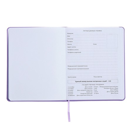 Universal diary for grade 1-11, well, solid cover, artificial leather, silkography, lies, 80 g/m2-3