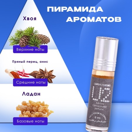 Men's oil perfume U2, 6 ml-1