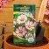 Flower seeds Annual cosmia carousel 0.2