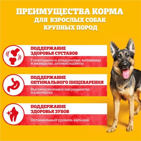 Pedigree dry food for dogs of large breeds, beef, 13 kg-3