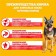 Pedigree dry food for dogs of large breeds, beef, 13 kg