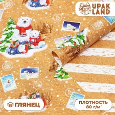 Paper packing glossy bilateral 