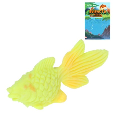 Children's experience “growing animal. Goldfish ", mix-9
