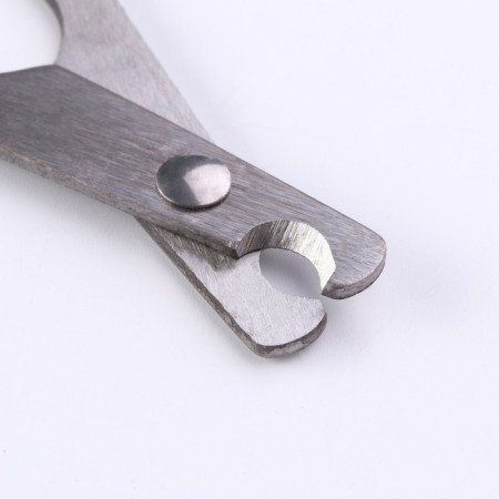 Coger scissors are large, hole 10 mm, black-3
