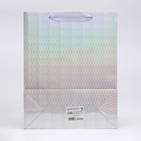 Packet Holography with a window, "silver", m 32 x 25.5 x 11 cm-1