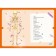 Interactive children's encyclopedia with magnets "Human Body" (in the box)