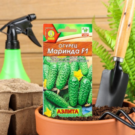 Marinda cucumber seeds F1, Early Nednie, Parthenocarpic, 0.25 g (10pcs)