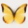 Decor for creativity "Butterfly", two -layer, set of 12 pcs., Size 1 pc. - 5 × 4 cm, yellow color