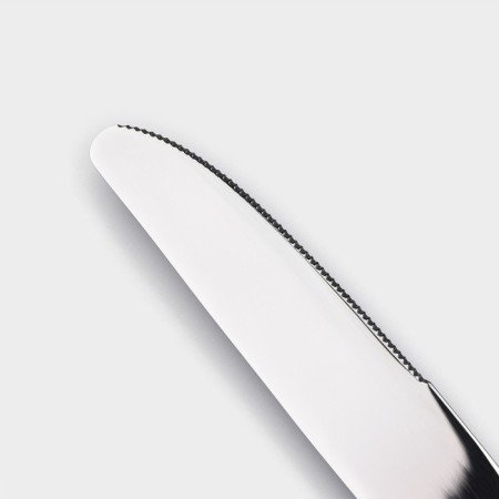 Stainless steel knife Magistro "Viscount", length 24 cm, silver color-1