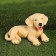 Garden figure "Dog lies" beige, 16x25x20cm