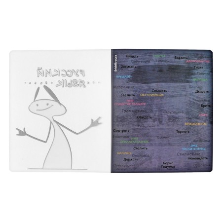 Subject notebook, 48 sheets, ruler, Russian Erichkrause "Chubrik", plastic cover silk-screen covers, Blok Offset 100%, information block-2