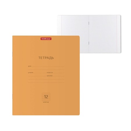 Notebook of 12 sheets in the Erichkrause Neon Classic cage, covered cardboard cover, white offset block 100%, orange