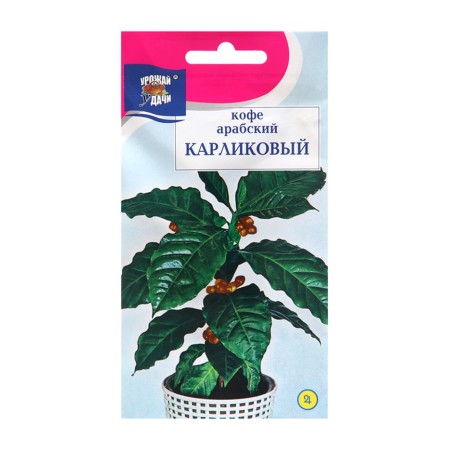 Coffee flowers Arabic "dwarf", 0.8g