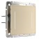 Two -valve touch switch with backlight (champagne) W4522011
