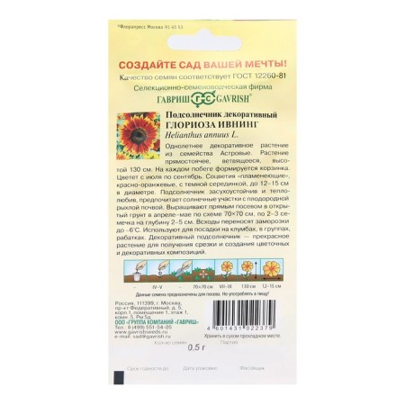 Flower seeds Sunflower decorative "Ivoning", 0.5 g-1