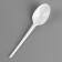 Set of disposable dishes "Spoon", 10 pcs
