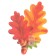 Poster "Oak leaves" 25x20 cm