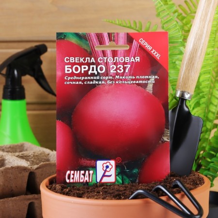 Семена ХХХL Свекла "Бордо 237", 7 г-2