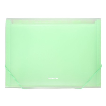 A4 cartridge folder on the 13 departments button, Erichkrause, Matt Neon, transparent plastic, mix-4