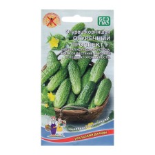 Seeds of cucumber 