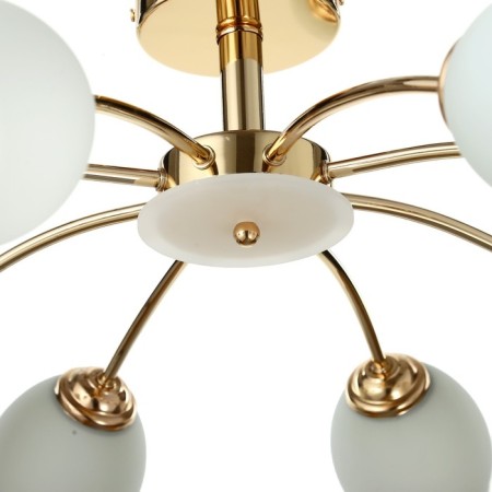 Ninel chandelier 8x60W E27 gold 65x65x22cm.-4