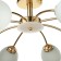 Ninel chandelier 8x60W E27 gold 65x65x22cm.