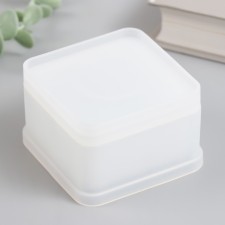 Mold Silicon 
