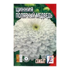 City Flowers 