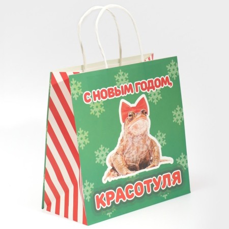 Gift package "Beauty", 22 x 22 x 11 cm, new year