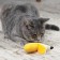 Petstags dental toy "Banana" for cats
