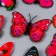 Magnet Plastic "Butterfly single wings pink" 4x6 cm