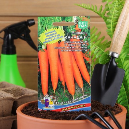 Carrots "Canada", F1, 0.2 g, 150pcs.-4