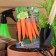 Carrots "Canada", F1, 0.2 g, 150pcs.