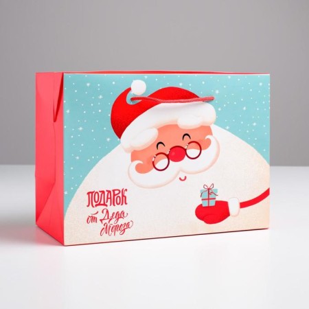 Santa Claus Package Corps, 28 x 20 x 13 cm, New Year-1