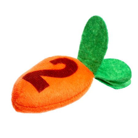 Developing Sorter "Carrots"-5