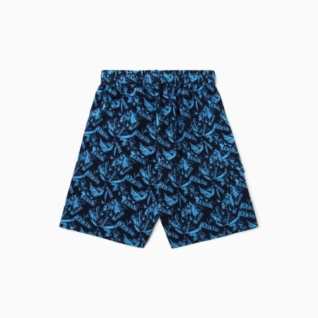 Bathing male shorts, blue color, size 54-2