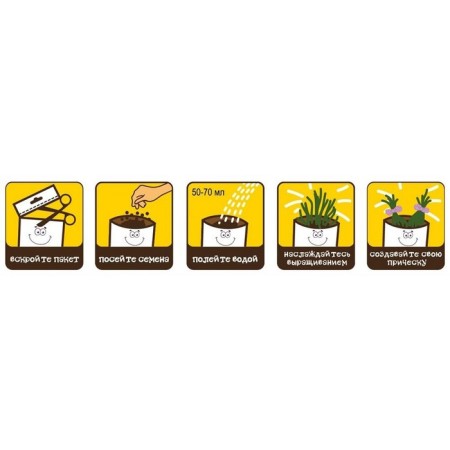 Happy Plant growing sets "Zebra"-2