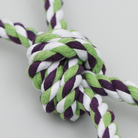 Toy training cable "swing", up to 120 g, mix of flowers-1