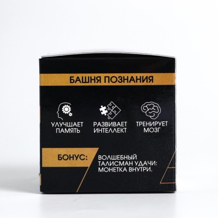Головоломка деревянная Игры разума «Башня познания»-6